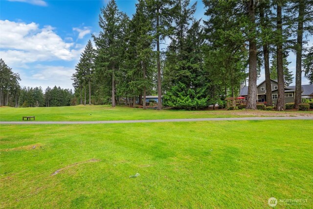 11 E Bonnie Ct, Union, WA 98592 - photo 34