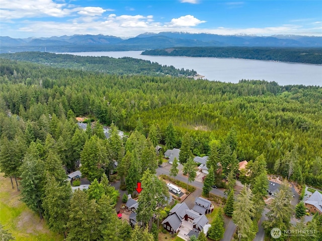 11 E Bonnie Ct, Union, WA 98592 - photo 35