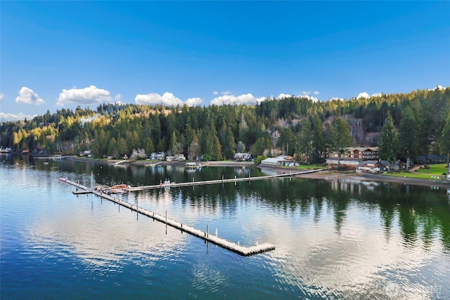 11 E Bonnie Ct, Union, WA 98592 - photo 38