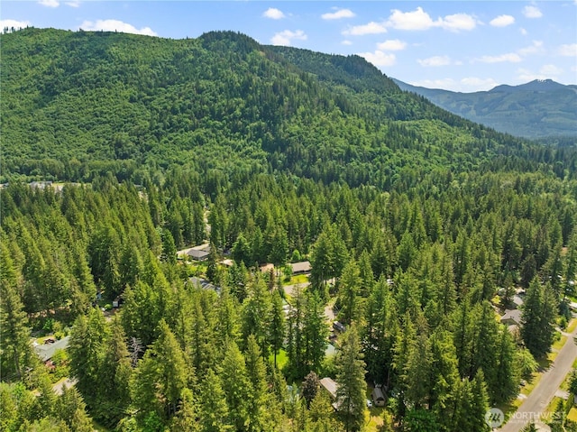 401 Flair Valley Ct, Maple Falls, WA 98266 - view of mountain backdrop featuring a forest