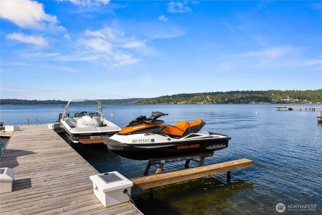 17834 SE 40th Pl, Bellevue, WA 98008 - dock with boat lift and a water view