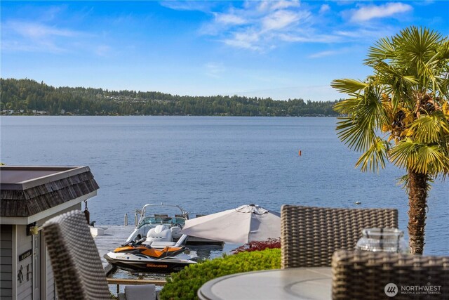 17834 SE 40th Pl, Bellevue, WA 98008 - water view featuring a dock and a forest