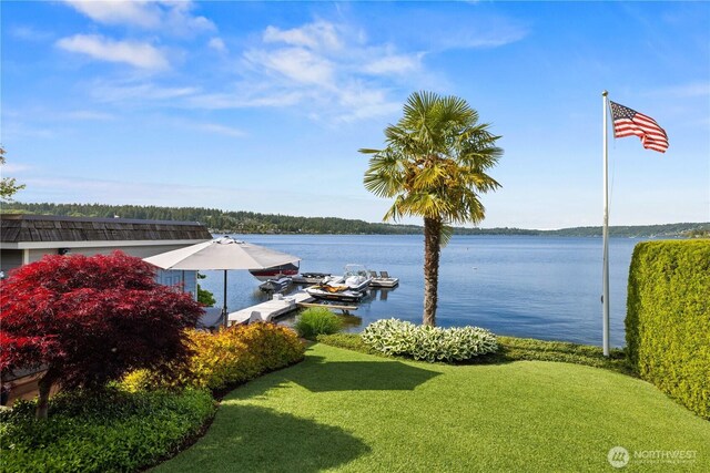 17834 SE 40th Pl, Bellevue, WA 98008 - water view with a dock