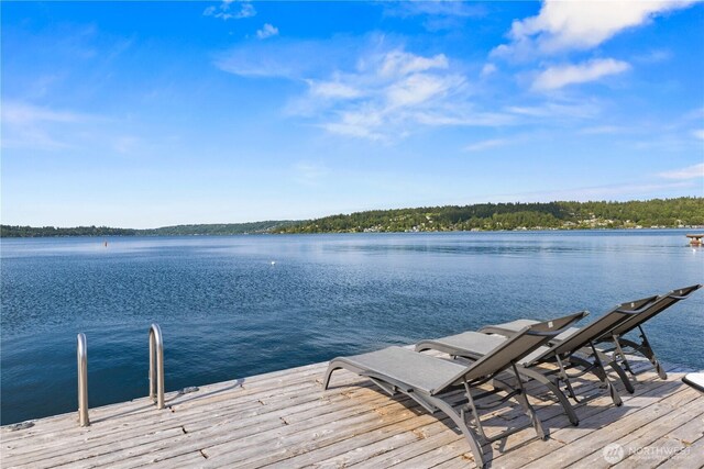 17834 SE 40th Pl, Bellevue, WA 98008 - dock area with a water view
