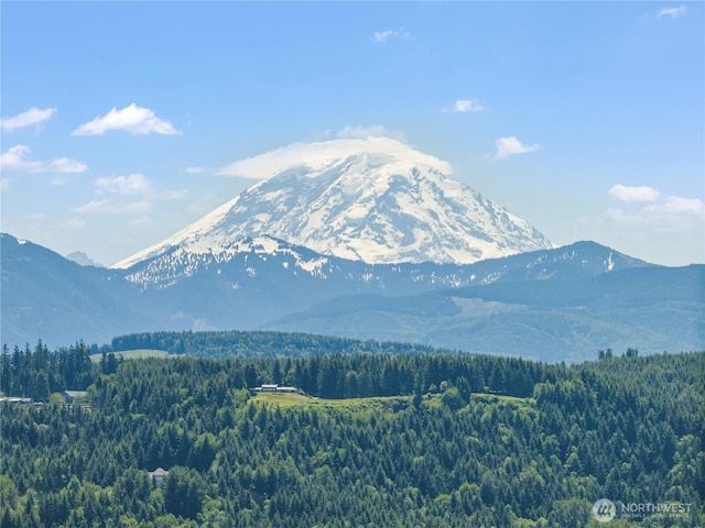 208 Hovey St, Buckley, WA 98321 - view of mountain background featuring a heavily wooded area