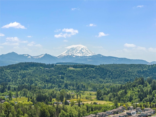 208 Hovey St, Buckley, WA 98321 - mountain view featuring a forest