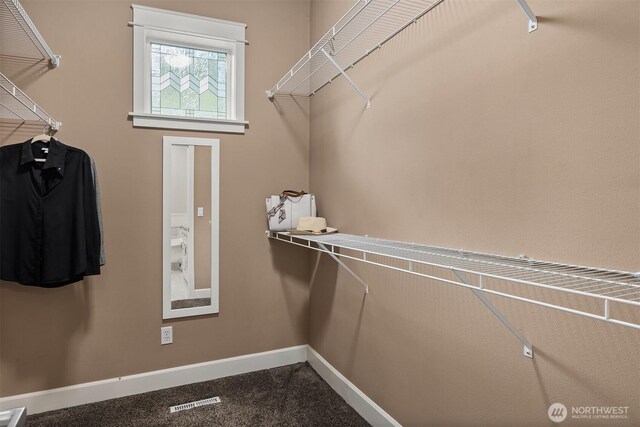 11005 NE 100th Pl, Kirkland, WA 98033 - view of walk in closet
