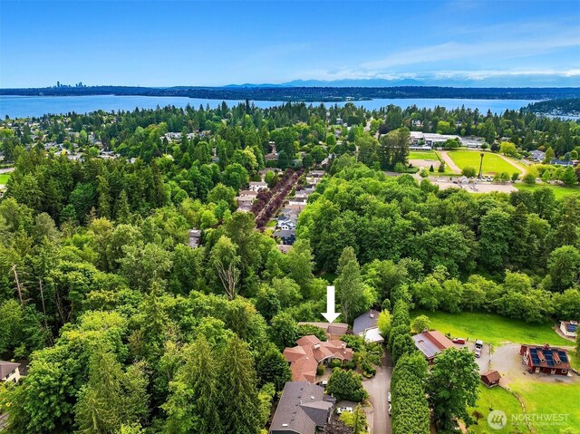 11005 NE 100th Pl, Kirkland, WA 98033 - drone / aerial view of a large body of water