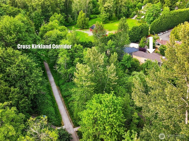 11005 NE 100th Pl, Kirkland, WA 98033 - aerial view