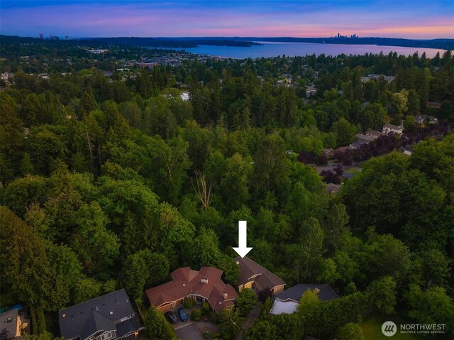 11005 NE 100th Pl, Kirkland, WA 98033 - aerial view at dusk of a forest view and a water view