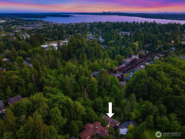 11005 NE 100th Pl, Kirkland, WA 98033 - aerial overview of property's location with a nearby body of water and a heavily wooded area
