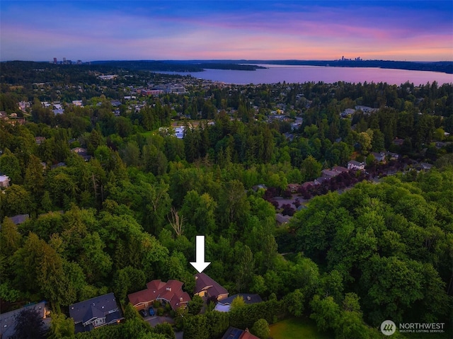 11005 NE 100th Pl, Kirkland, WA 98033 - aerial overview of property's location featuring a large body of water and a forest