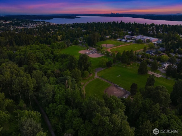 11005 NE 100th Pl, Kirkland, WA 98033 - view of property location featuring a nearby body of water