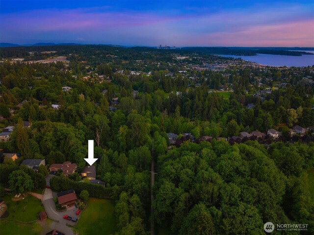 11005 NE 100th Pl, Kirkland, WA 98033 - drone / aerial view of a forest and a large body of water