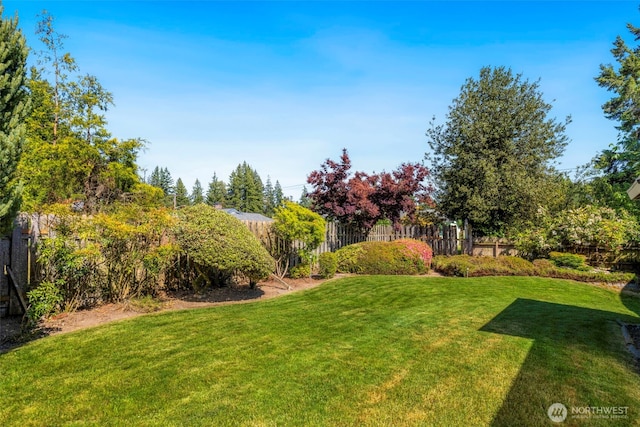 1981 Sequoia St SE, Port Orchard, WA 98366 - view of yard