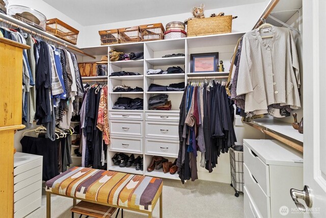 20 Longshore Ln, Bellingham, WA 98229 - spacious closet with carpet floors