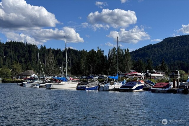 20 Longshore Ln, Bellingham, WA 98229 - water view featuring a heavily wooded area, a boat dock, and mountains