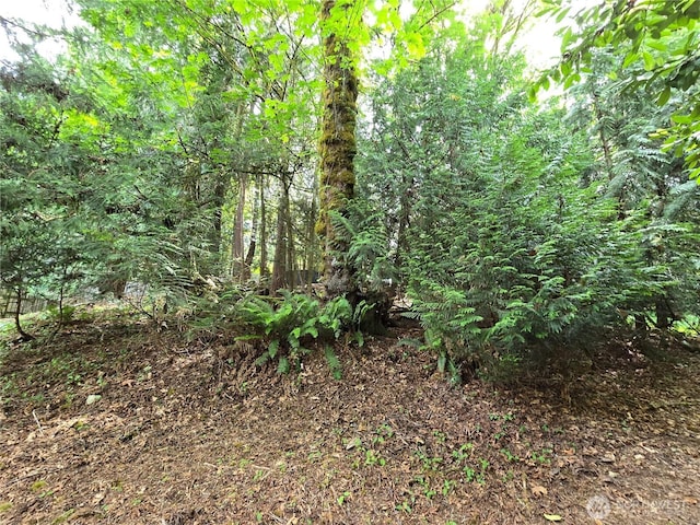 0 University Point Cir NE, Bremerton, WA 98311