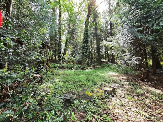 0 University Point Cir NE, Bremerton, WA 98311