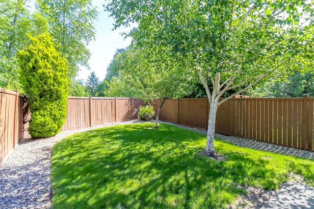 5513 Starlight St E, Fife, WA 98424 - view of yard