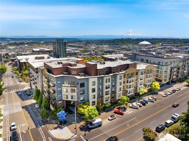1501 Tacoma Ave S Unit 212, Tacoma, WA 98402 - view of urban area with mountains