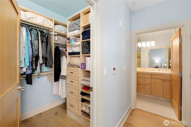 1501 Tacoma Ave S Unit 212, Tacoma, WA 98402 - walk in closet featuring light wood-style floors and a sink