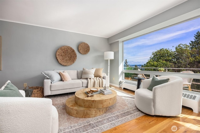 530 W Olympic Pl Unit 406, Seattle, WA 98119 - living area featuring radiator, wood finished floors, and baseboard heating