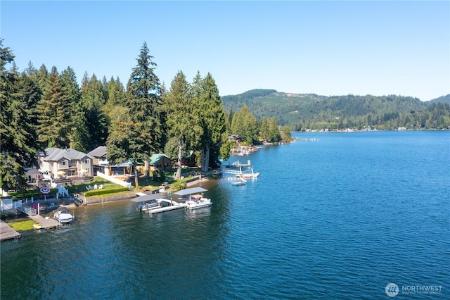 562 W Lake Samish Dr, Bellingham, WA 98229 - water view with a dock and a heavily wooded area