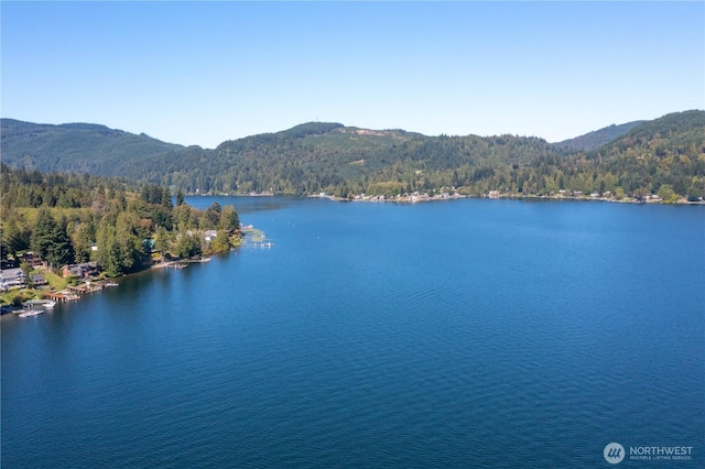 562 W Lake Samish Dr, Bellingham, WA 98229 - water view featuring a heavily wooded area and a mountain backdrop