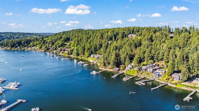 8002 Goodman Dr NW, Gig Harbor, WA 98332 - photo 21