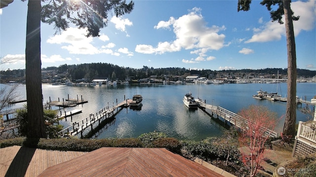 8002 Goodman Dr NW, Gig Harbor, WA 98332 - photo 1