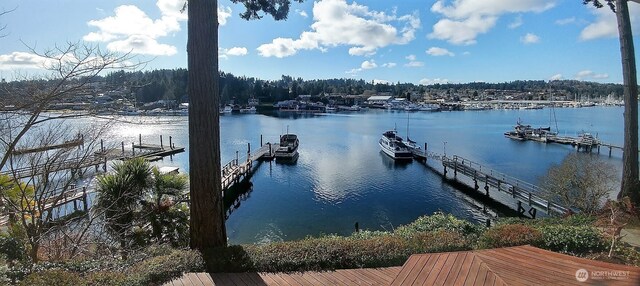 8002 Goodman Dr NW, Gig Harbor, WA 98332 - photo 20
