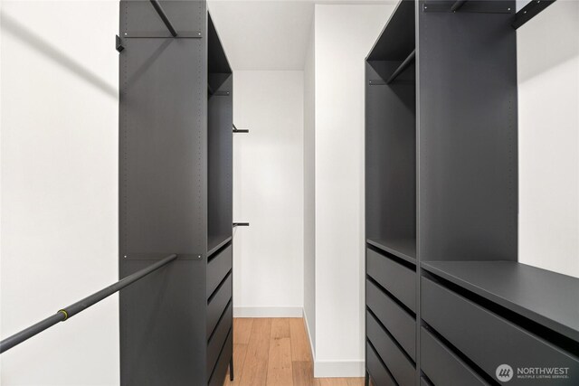 4517 44th Ave SW Unit B, Seattle, WA 98116 - spacious closet with light wood-style floors
