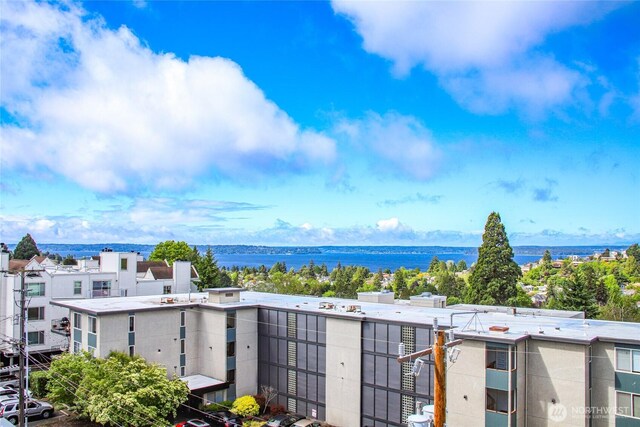 4517 44th Ave SW Unit B, Seattle, WA 98116 - water view