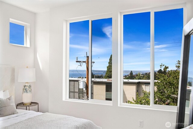 4517 44th Ave SW Unit B, Seattle, WA 98116 - view of bedroom