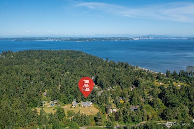 10539 N Madison Ave NE, Bainbridge Island, WA 98110 - aerial view of property and surrounding area featuring a nearby body of water and a heavily wooded area