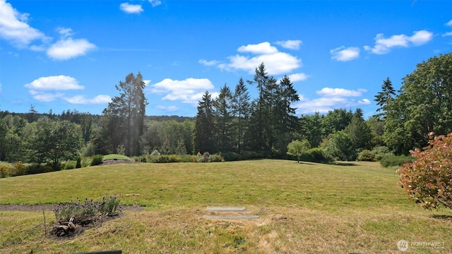 10539 N Madison Ave NE, Bainbridge Island, WA 98110 - view of grassy yard with a wooded view
