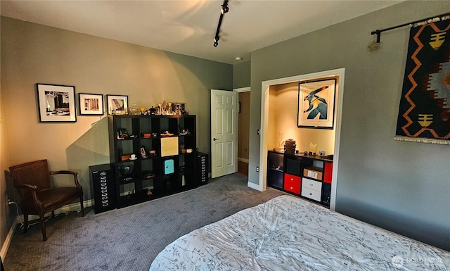 10920 Chaucer St SE, Olympia, WA 98501 - carpeted bedroom with rail lighting and baseboards