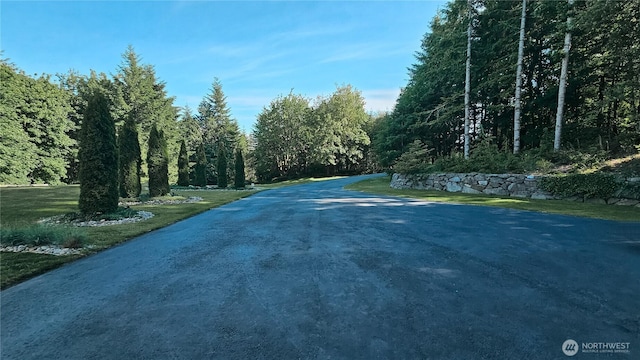 10920 Chaucer St SE, Olympia, WA 98501 - view of street with a view of trees