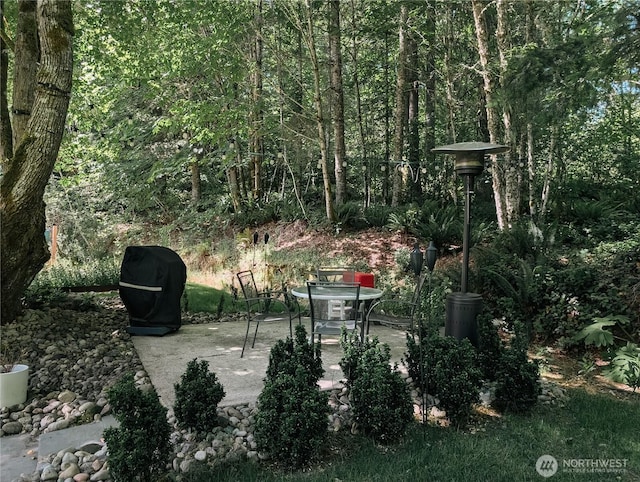 10920 Chaucer St SE, Olympia, WA 98501 - view of yard with a patio area
