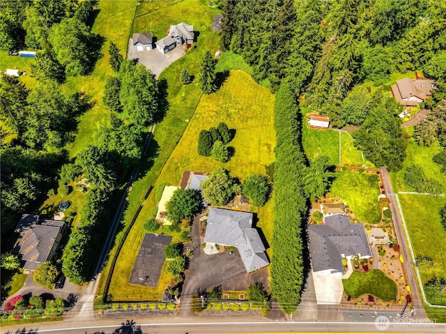 16710 Snohomish Ave, Snohomish, WA 98296 - aerial view of residential area