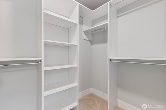 50 Pine St Unit 420, Edmonds, WA 98020 - walk in closet with carpet floors