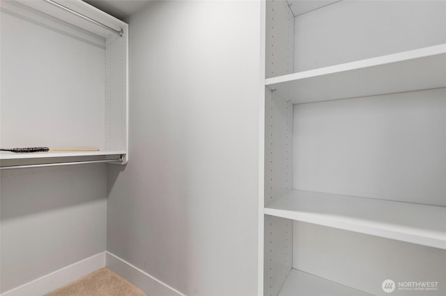 50 Pine St Unit 420, Edmonds, WA 98020 - view of spacious closet