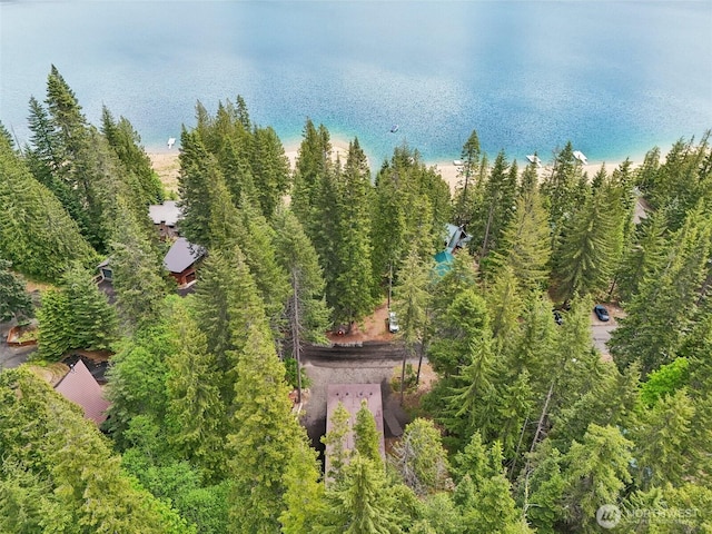 3271 Via Kachess Rd, Easton, WA 98925 - drone / aerial view
