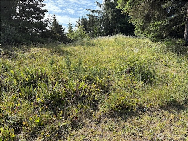 923 Beachcomber Ct SW, Ocean Shores, WA 98569