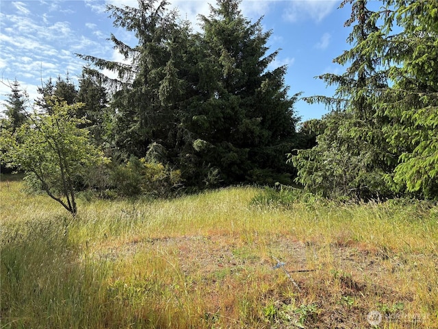 923 Beachcomber Ct SW, Ocean Shores, WA 98569