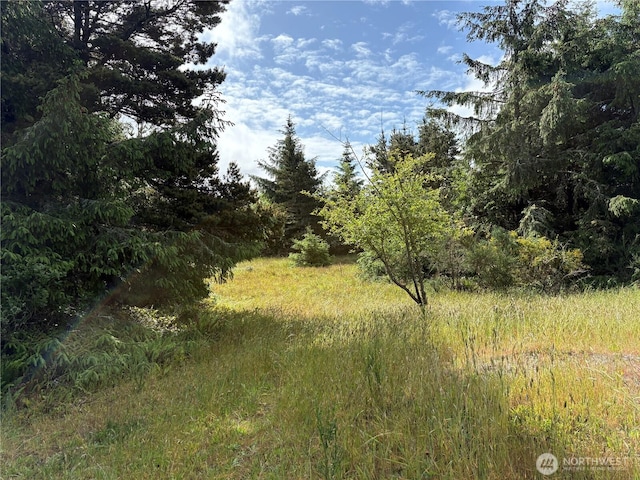 923 Beachcomber Ct SW, Ocean Shores, WA 98569