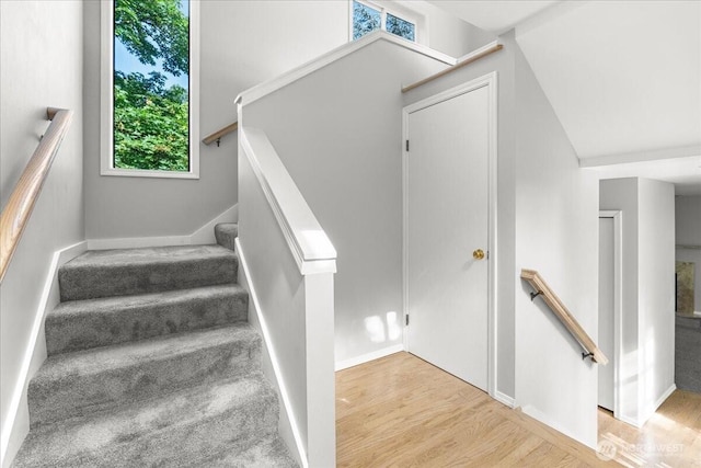 8523 25th Ave NE, Seattle, WA 98115 - photo 5