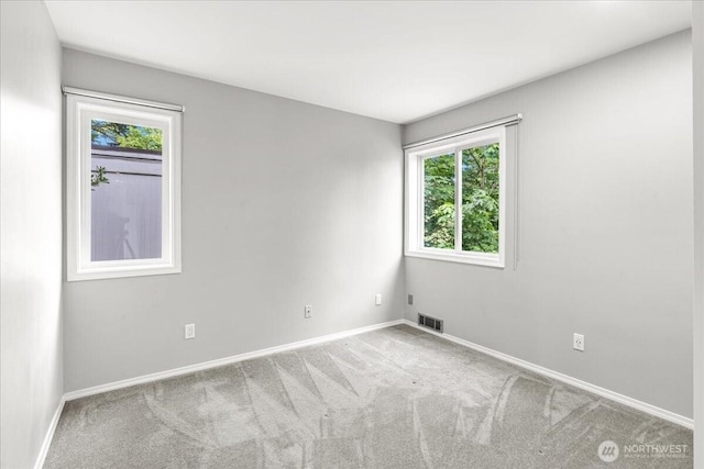 8523 25th Ave NE, Seattle, WA 98115 - photo 21