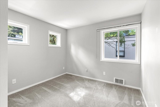 8523 25th Ave NE, Seattle, WA 98115 - photo 22